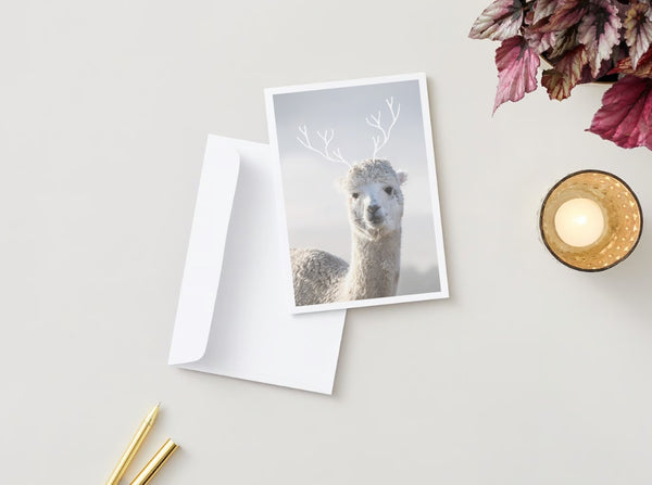 greeting card - frosty mercedes