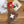 SOLD - felt - alpaca mini banner # 3