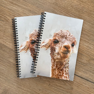 notebook - soggy galaxy