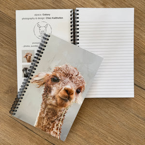 notebook - soggy galaxy