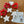 workshop - felting - shapes (garlands and decorations)