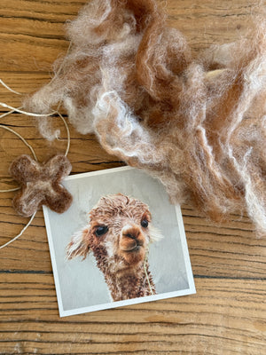 felt - alpaca kisses - garlands