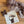 felt - alpaca kisses - garlands