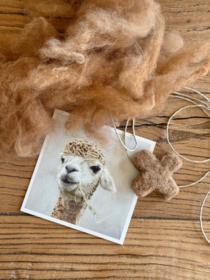 felt - alpaca kisses - garlands