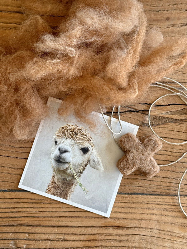 felt - alpaca kisses - garlands