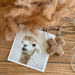 kit - needle felting starter pack