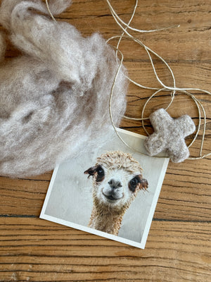 felt - alpaca kisses - garlands