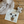kit - needle felting starter pack