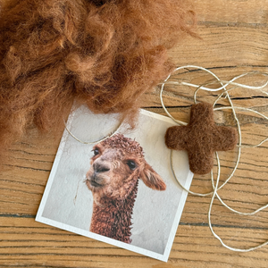 kit - needle felting starter pack