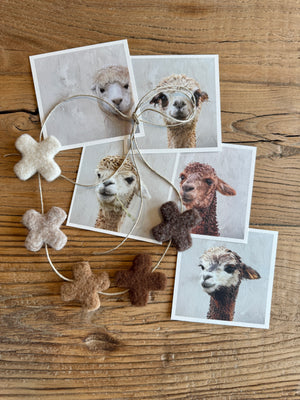 felt - alpaca kisses - garlands