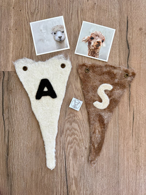 workshop - felting - alpaca banner