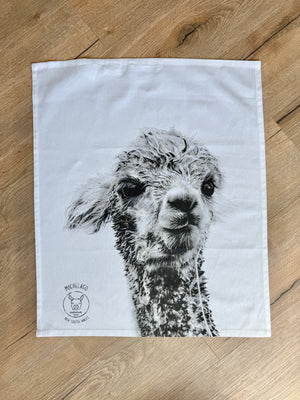 tea towels - soggy galaxy