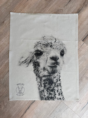 tea towels - soggy galaxy