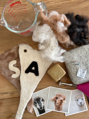 workshop - felting - alpaca banner