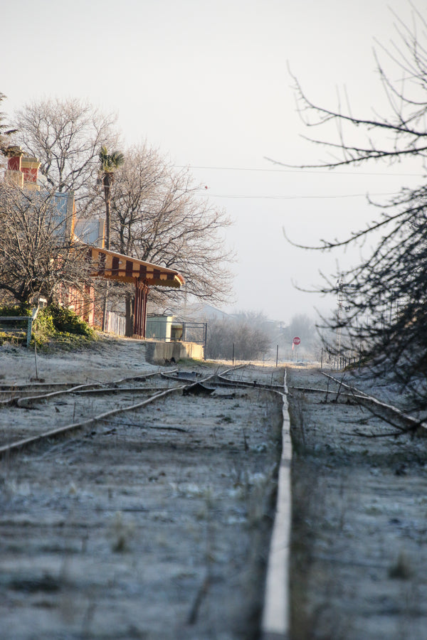 michelago station 4 - greeting card