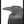 crow - b&w - fine art print