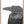 crow - b&w - fine art print