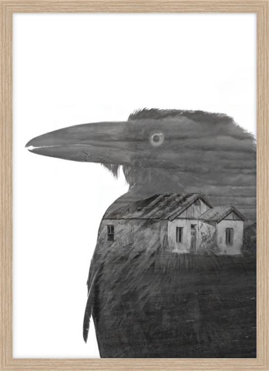 crow - b&w - fine art print