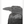 crow - b&w - fine art print