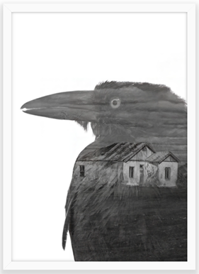 crow - b&w - fine art print