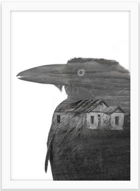 crow - b&w - fine art print