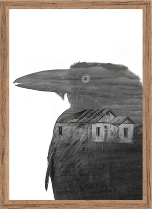 crow - b&w - fine art print