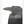 crow - b&w - fine art print