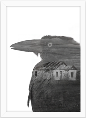 crow - b&w - fine art print