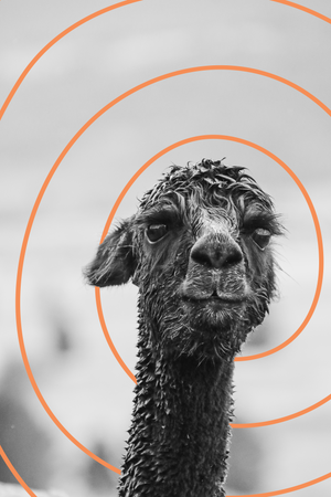 notebook - soggy hana