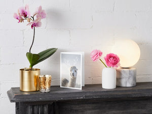 greeting card - frosty mercedes