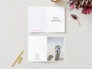 greeting card - frosty mercedes