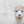 Close-up of a white alpaca against a textured white background