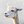 Close-up of a grey and white Alpaca's head against a plain background