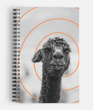 notebook - soggy hana